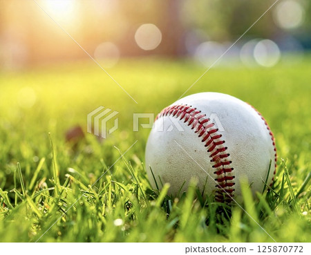 放在草地上的棒球（晴天，自然光） 125870772