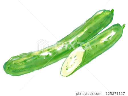 Fresh and delicious cucumber watercolor illustration Fresh and delicious cucumber watercolor illustration 125871117
