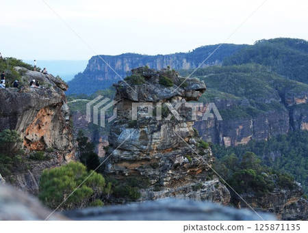 Horsehead-shaped rock in the Blue Mountains, Australia 125871135