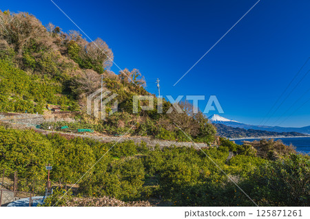 從靜岡市薩埼嶺眺望富士山(靜岡縣) 從靜岡市薩埼嶺眺望富士山(靜岡縣) 125871261