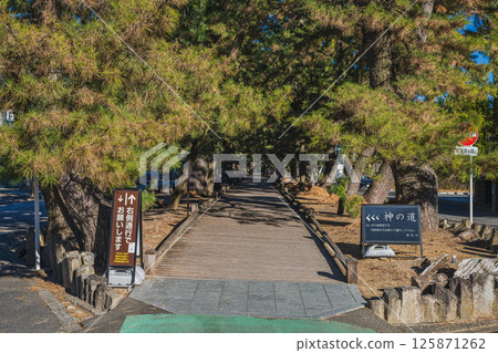 靜岡市三保松原的眾神之路風景(靜岡縣) 靜岡市三保松原的眾神之路風景(靜岡縣) 125871262
