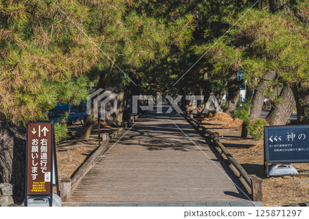靜岡市三保松原的眾神之路風景（靜岡縣） 125871297