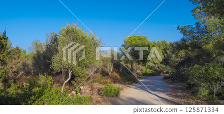 Peninsula de Llevant Natural Park, Spain 125871334