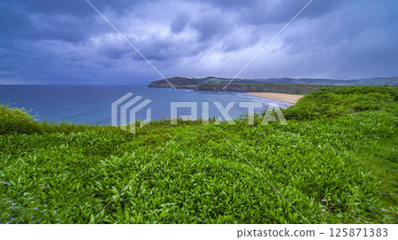 Langre Beach, Spain 125871383
