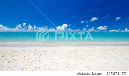 Beautiful beach. Tropical beach. Holiday and vacation concept. Sand, blue sea water, turquoise ocean, sun sky white clouds 125871475