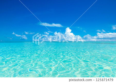 Beautiful beach. Tropical beach. Holiday and vacation concept. Sand, blue sea water, turquoise ocean, sun sky white clouds 125871479