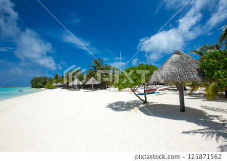 tropical Maldives island with white sandy beach and sea. palm 125871562