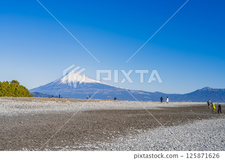 從靜岡市三保松原眺望的松林和富士山（靜岡縣） 125871626