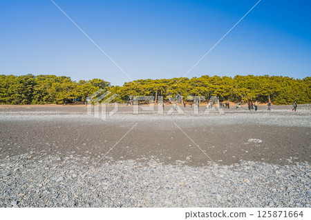 Scenery of the pine forest at Miho no Matsubara in Shizuoka City (Shizuoka Prefecture) Scenery of the pine forest at Miho no Matsubara in Shizuoka City (Shizuoka Prefecture) 125871664