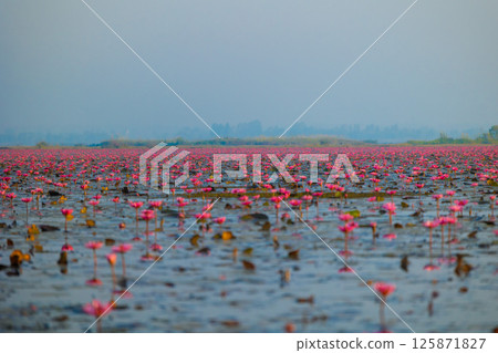 天堂般的世界 天堂般的世界 125871827