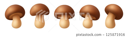 Cute Vector 3D Realistic Mushroom Icon Set. Cartoon Fungi Illustrations Closeup Isolated on White Background. Mushroom Fungi Clipart, Design Template for Nature Botanical Concept 125871916