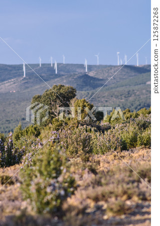 Wind turbine group in Spain Wind turbine group in Spain 125872268