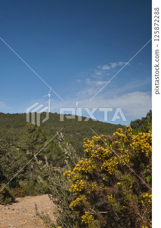 Wind turbine group in Spain Wind turbine group in Spain 125872288