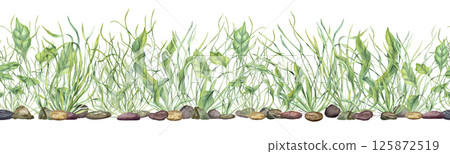 Underwater green kelps on pebbles watercolor horizontal seamless banner isolated background. Sea plants, grass, stones pattern for aquarium decor, nautical content, eco friendly packaging, labels 125872519