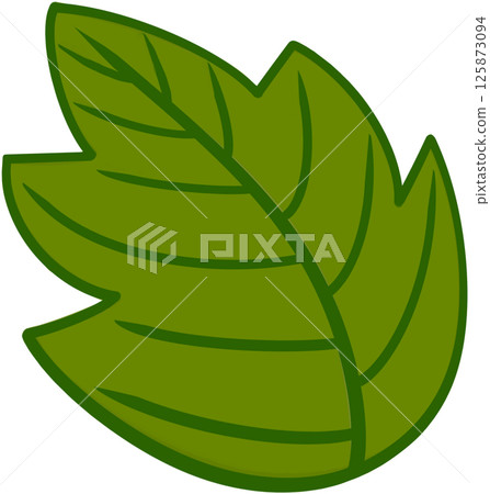 Beautiful shape and green colors tone of fresh leaves. Beautiful shape and green colors tone of fresh leaves. 125873094