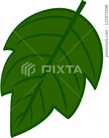Beautiful shape and green colors tone of fresh leaves. 125873096