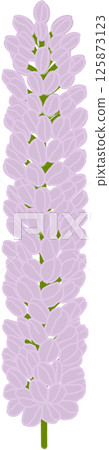 Beautiful shape and colors of purple blossom flower petals. Beautiful shape and colors of purple blossom flower petals. 125873123