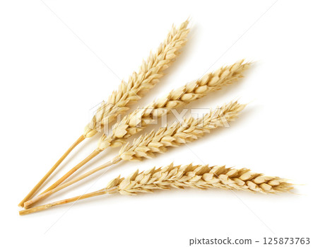Wheat ears on white background Wheat ears on white background 125873763