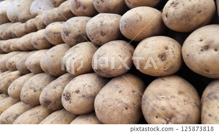 Freshly harvested potatoes lined up in a market display Freshly harvested potatoes lined up in a market display 125873818