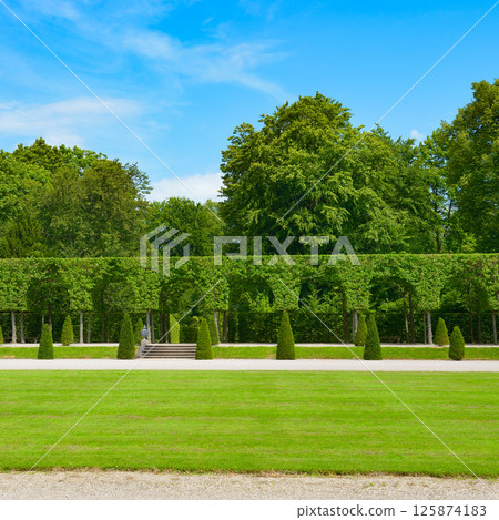 Beautiful alley with a green lawn in a park 125874183