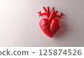Anatomical shape of the heart. World Day of Cardiology and Heart and Vascular Diseases 125874526