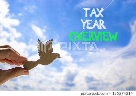 Tax year overview symbol. Concept words Tax year overview on beautiful blue sky. Beautiful blue sky and clouds background. Wooden bird. Businessman hand. Business tax year overview concept. Copy space 125874814