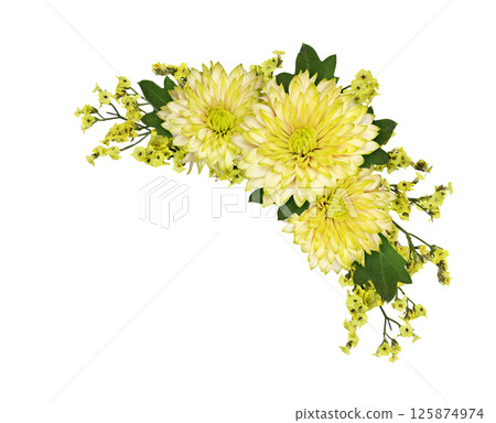 Yellow limonium flowers and chrysanthemums in a corner floral arrangement isolated background Yellow limonium flowers and chrysanthemums in a corner floral arrangement isolated background 125874974