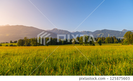 Vast fields of golden grass stretch towards majestic low tauern mountains under a clear blue sky, showcasing the serene beauty of Austria during early morning light. Vast fields of golden grass stretch towards majestic low tauern mountains under a clear blue sky, showcasing the serene beauty of Austria during early morning light. 125875603