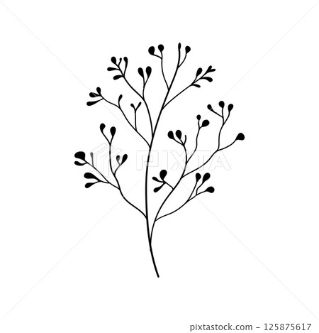 Floral Branch. Linear floral branch with small blossoms or berries, combining simplicity with organic charm great for wedding invitations, packaging, or logos. Floral Branch. Linear floral branch with small blossoms or berries, combining simplicity with organic charm great for wedding invitations, packaging, or logos. 125875617