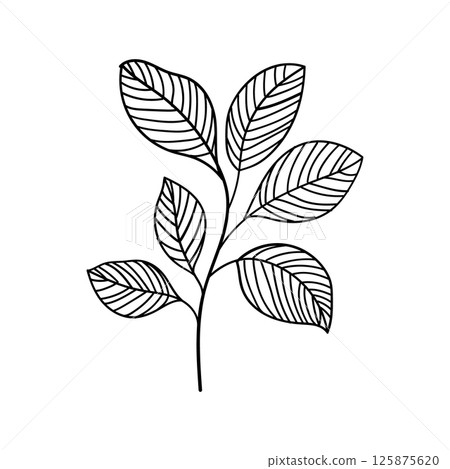 Leafy Stem. Stylized leafy stem in elegant monochrome line art, perfect for clean, modern compositions, packaging, or stationery design. Leafy Stem. Stylized leafy stem in elegant monochrome line art, perfect for clean, modern compositions, packaging, or stationery design. 125875620