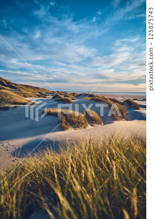 Danish Coast in northern Jutland 125875743