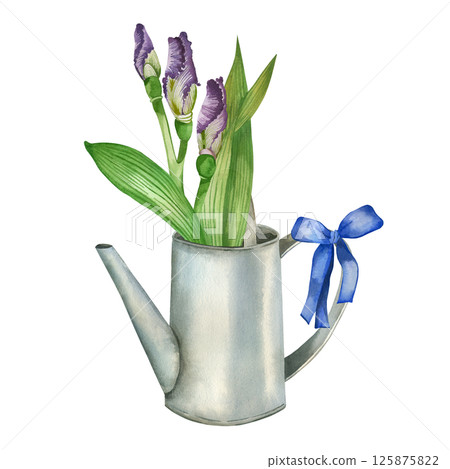 Floral arrangement, iris flowers, buds in a watering can and a blue bow. All objects are hand-painted with watercolors. Perfect for cards and invitations. High quality illustration Floral arrangement, iris flowers, buds in a watering can and a blue bow. All objects are hand-painted with watercolors. Perfect for cards and invitations. High quality illustration 125875822