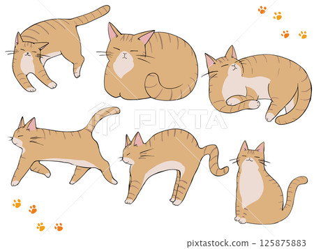 Brown tabby cat collection Brown tabby cat collection 125875883