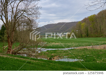 Serene Spring Landscape With Leafless Tree Overlooking Misty Village Nestled Among Rolling Hills Under Overcast Sky. 125875946