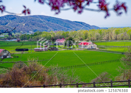 Ranch and cherry blossom 125876388