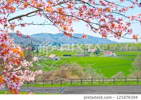 Ranch and cherry blossom Ranch and cherry blossom 125876394