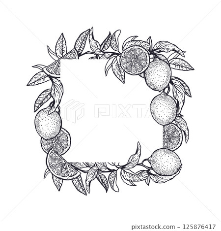 Lemons frame square in graphic style with black ink. Fruits and leaves. Hand drawn vector illustration. For food and cosmetic labels, jam, lemonade, banners, posters, invitations, postcards. Lemons frame square in graphic style with black ink. Fruits and leaves. Hand drawn vector illustration. For food and cosmetic labels, jam, lemonade, banners, posters, invitations, postcards. 125876417