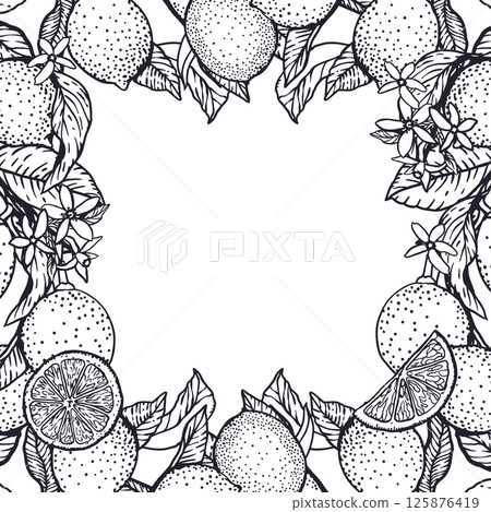 Lemons frame square in graphic style with black ink. Fruits, leaves and flowers. Hand drawn vector illustration. For food and cosmetic labels, jam, lemonade, banners, posters, invitations, postcards. 125876419