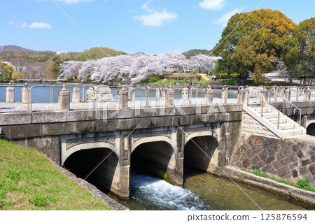 [Okayama Prefecture] Cherry blossoms blooming in spring at Sakatsu Park (Takahashi River East-West Water Intake and Distribution Facility) 125876594