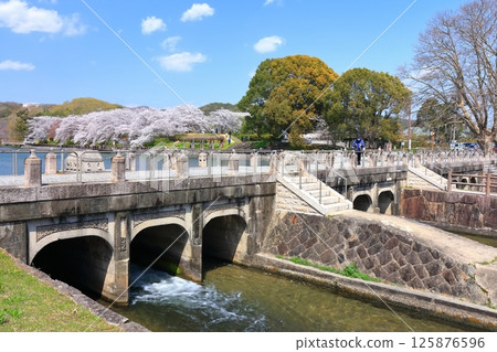 [Okayama Prefecture] Cherry blossoms blooming in spring at Sakatsu Park (Takahashi River East-West Water Intake and Distribution Facility) 125876596
