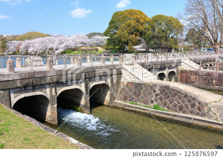 【岡山縣】坂津公園(高梁川東西取水設施)春季櫻花盛開 【岡山縣】坂津公園(高梁川東西取水設施)春季櫻花盛開 125876597