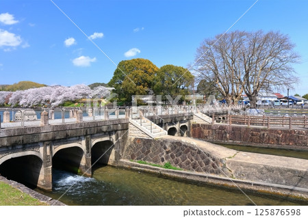 【岡山縣】坂津公園(高梁川東西取水設施)春季櫻花盛開 【岡山縣】坂津公園(高梁川東西取水設施)春季櫻花盛開 125876598