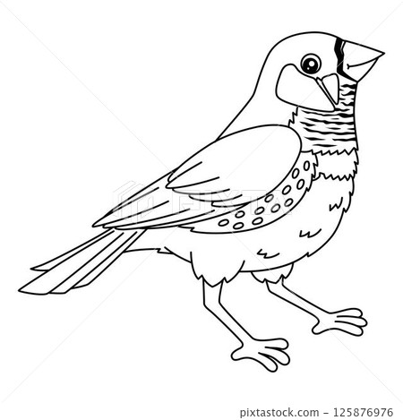 Bird Finch Isolated Coloring Page for Kids  125876976