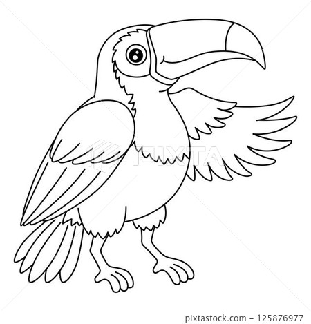 Bird Tucan Isolated Coloring Page for Kids Bird Tucan Isolated Coloring Page for Kids 125876977
