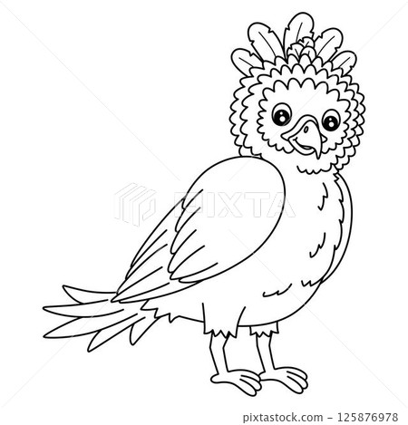 Bird Harpy Eagle Isolated Coloring Page for Kids Bird Harpy Eagle Isolated Coloring Page for Kids 125876978
