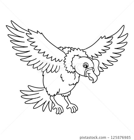 Bird Andean Condor Isolated Coloring Page for Kids Bird Andean Condor Isolated Coloring Page for Kids 125876985