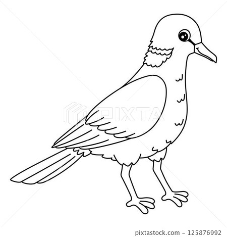Bird Ring Necked Dove Isolated Coloring Page  125876992