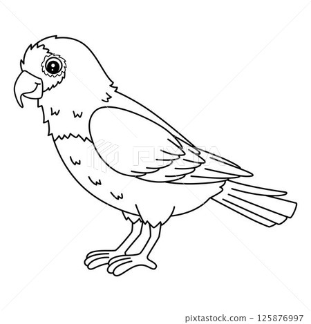 Bird Conure Isolated Coloring Page for Kids Bird Conure Isolated Coloring Page for Kids 125876997