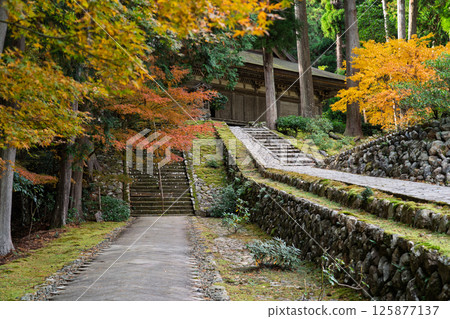 福井縣若狹小濱市的明通寺紅葉盛景拍攝 125877137