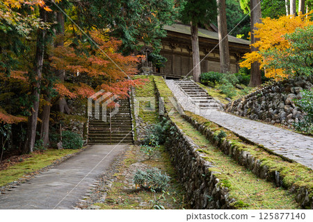 福井縣若狹小濱市的明通寺紅葉盛景拍攝 福井縣若狹小濱市的明通寺紅葉盛景拍攝 125877140